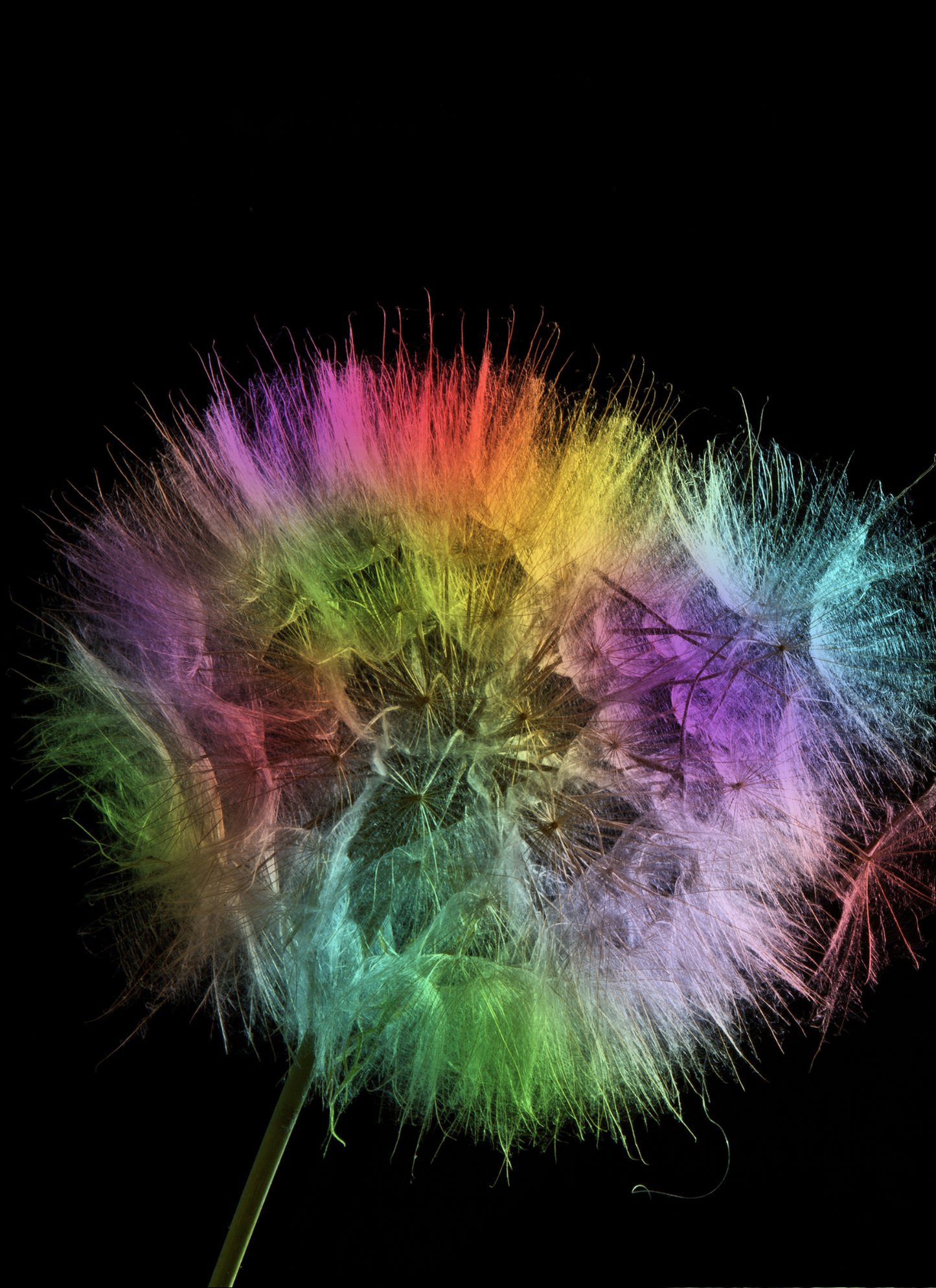 Rainbow Wish – Paint by Numbers Kit