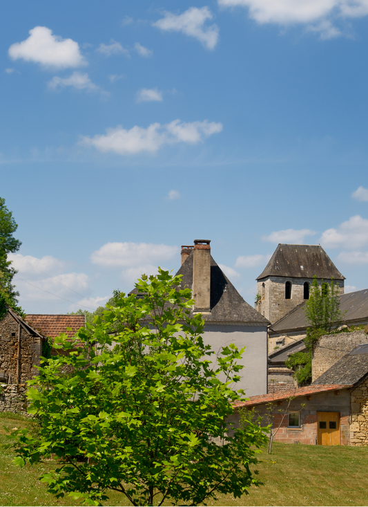 Dordogne Village Charm, France – Paint by Numbers Kit