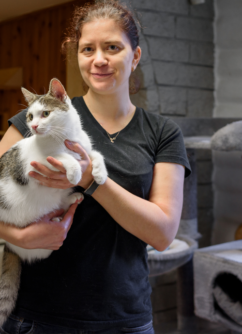 Cat Cuddles – Paint by Numbers Kit