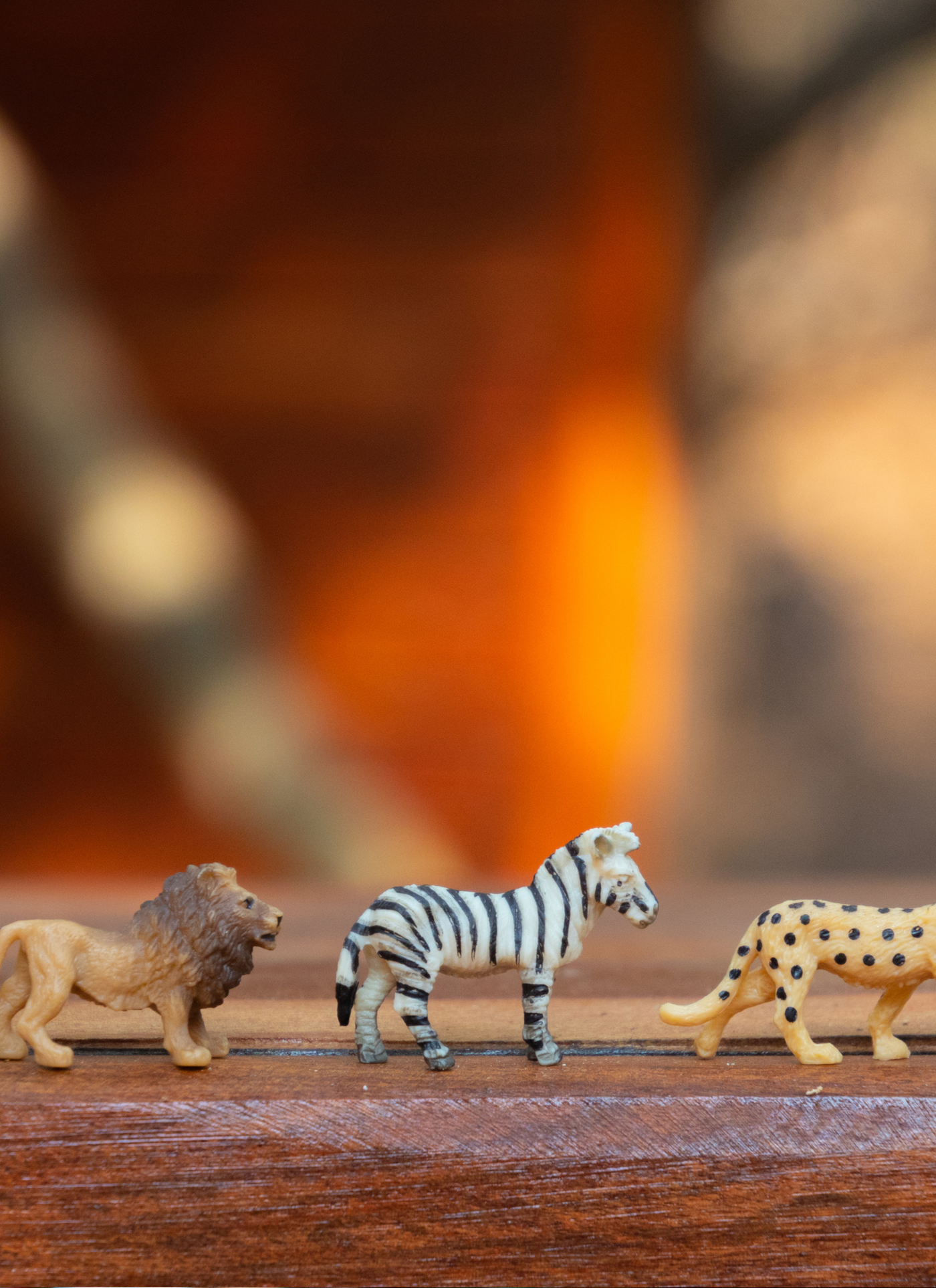 Wild Trio: Lion, Zebra & Cheetah – Paint by Numbers