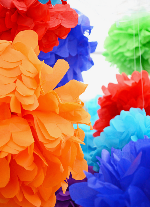 Fiesta Blooms – Paint by Numbers Kit