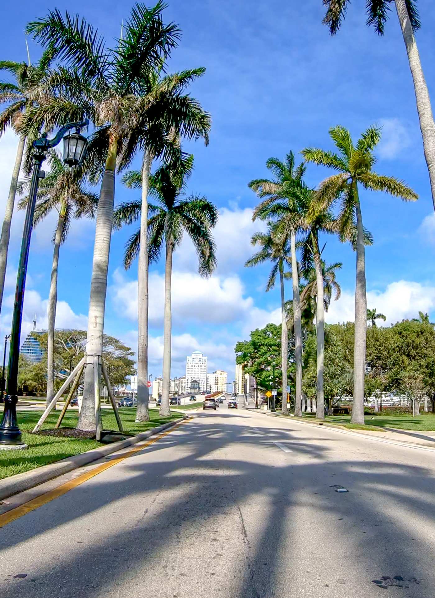 Palm-Lined Boulevard Cityscape – Paint by Numbers Kit