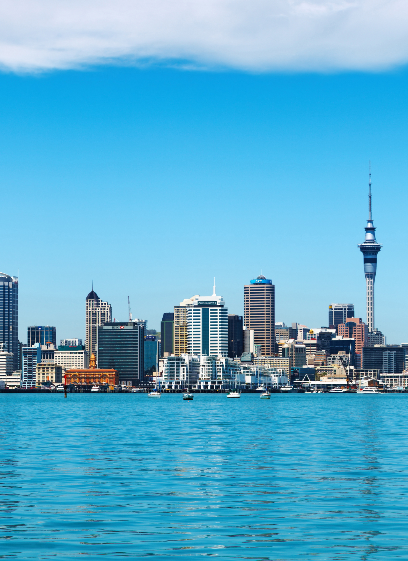 Auckland Skyline by the Harbor – Paint by Numbers Kit