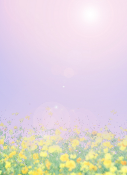 Sun-Kissed Meadow - Paint by Numbers Kit