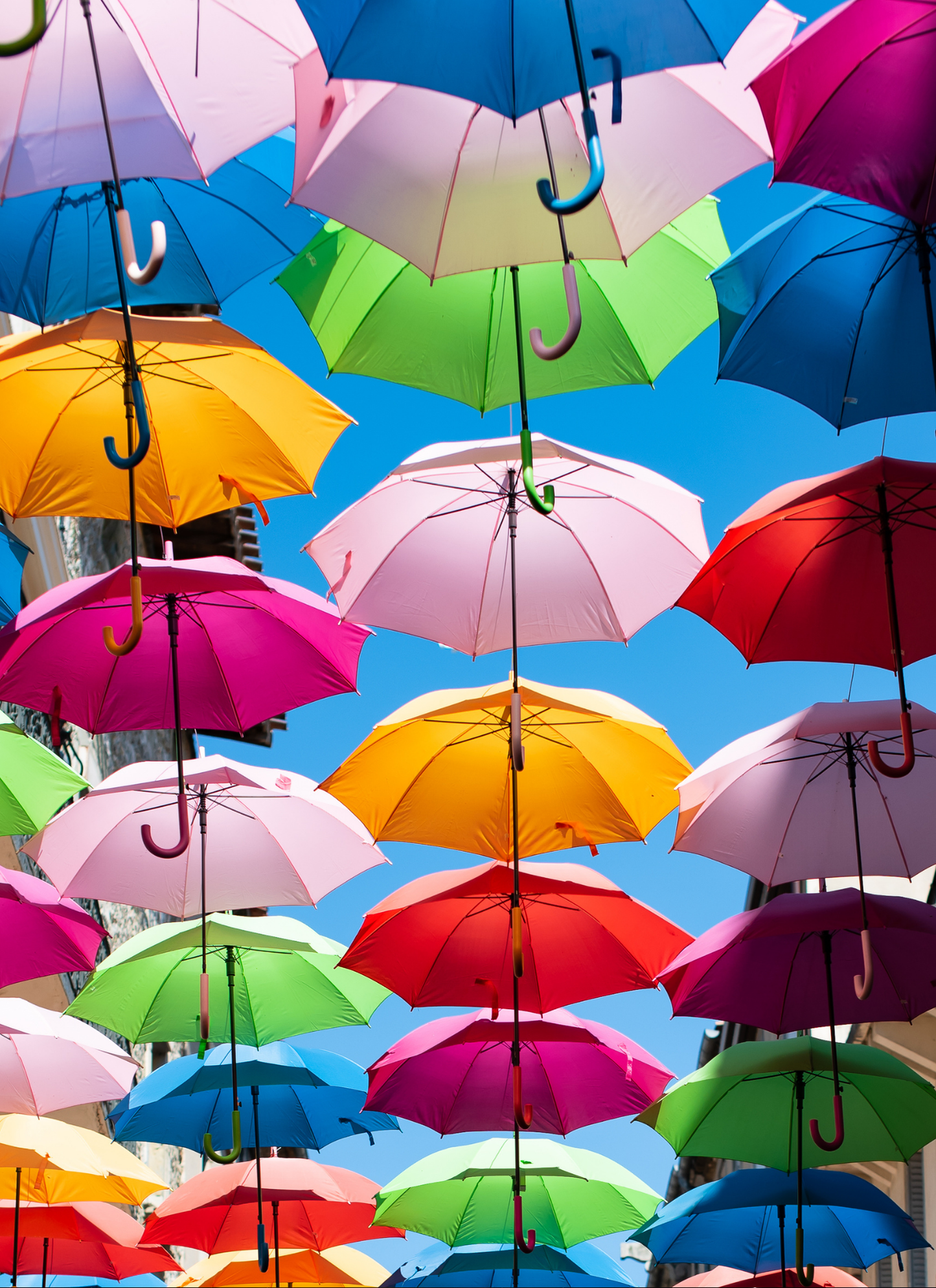 Colorful Canopy – Paint by Numbers Kit