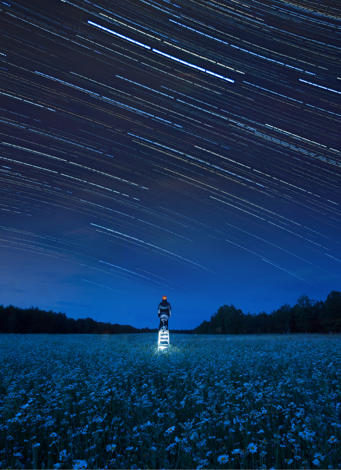 Stargazing Over the Wildflower Field – Paint by Numbers Kit