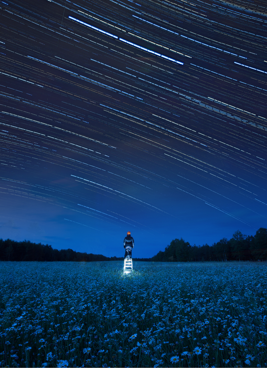 Stargazing Over the Wildflower Field – Paint by Numbers Kit