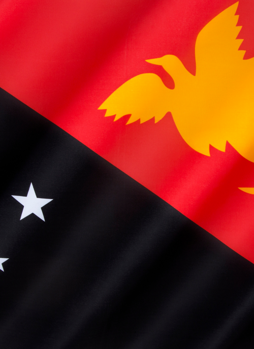 Papua New Guinea Flag – Bold Cultural Colors Paint by Numbers Kit