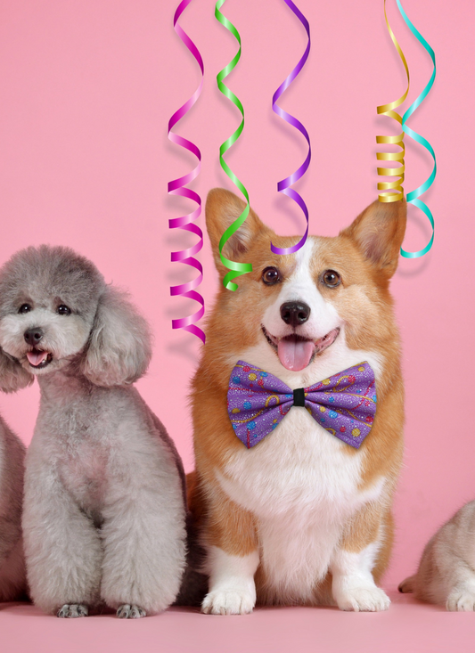 Pawty Time Pals – Paint by Numbers