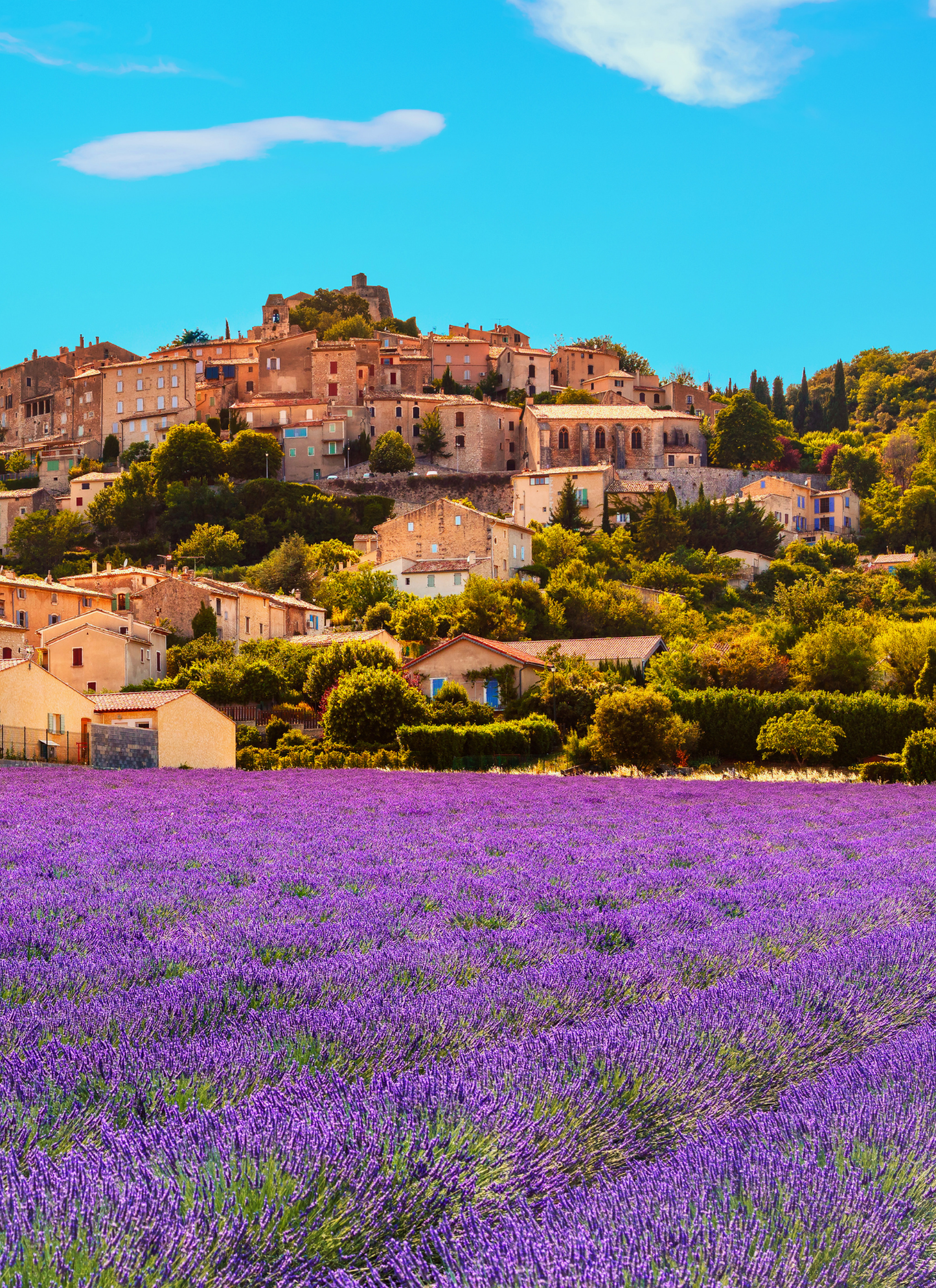 French Countryside Charm – Paint by Numbers Kit