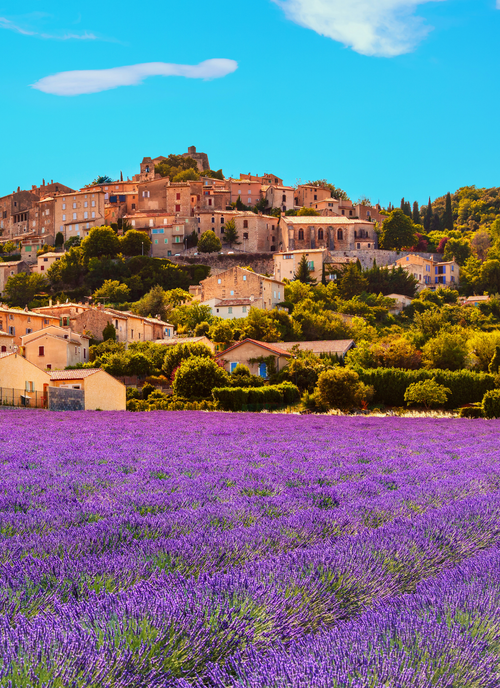 French Countryside Charm – Paint by Numbers Kit