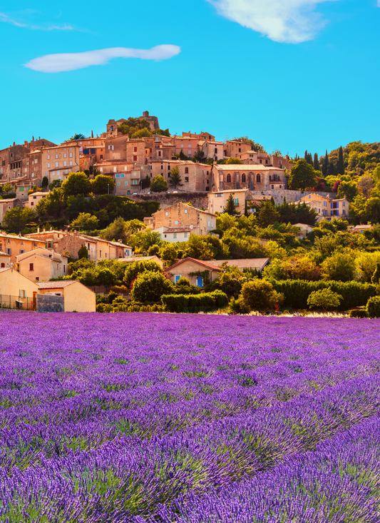 French Countryside Charm – Paint by Numbers Kit