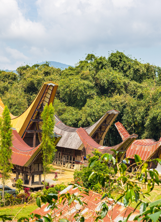 Traditional Toraja Village – Paint by Numbers Kit