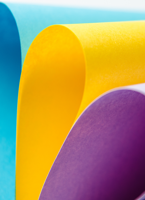 Curves of Color – Paint by Numbers Kit