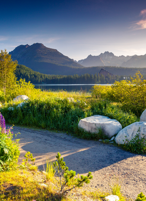 Mountain Lake Path – Paint by Numbers Kit