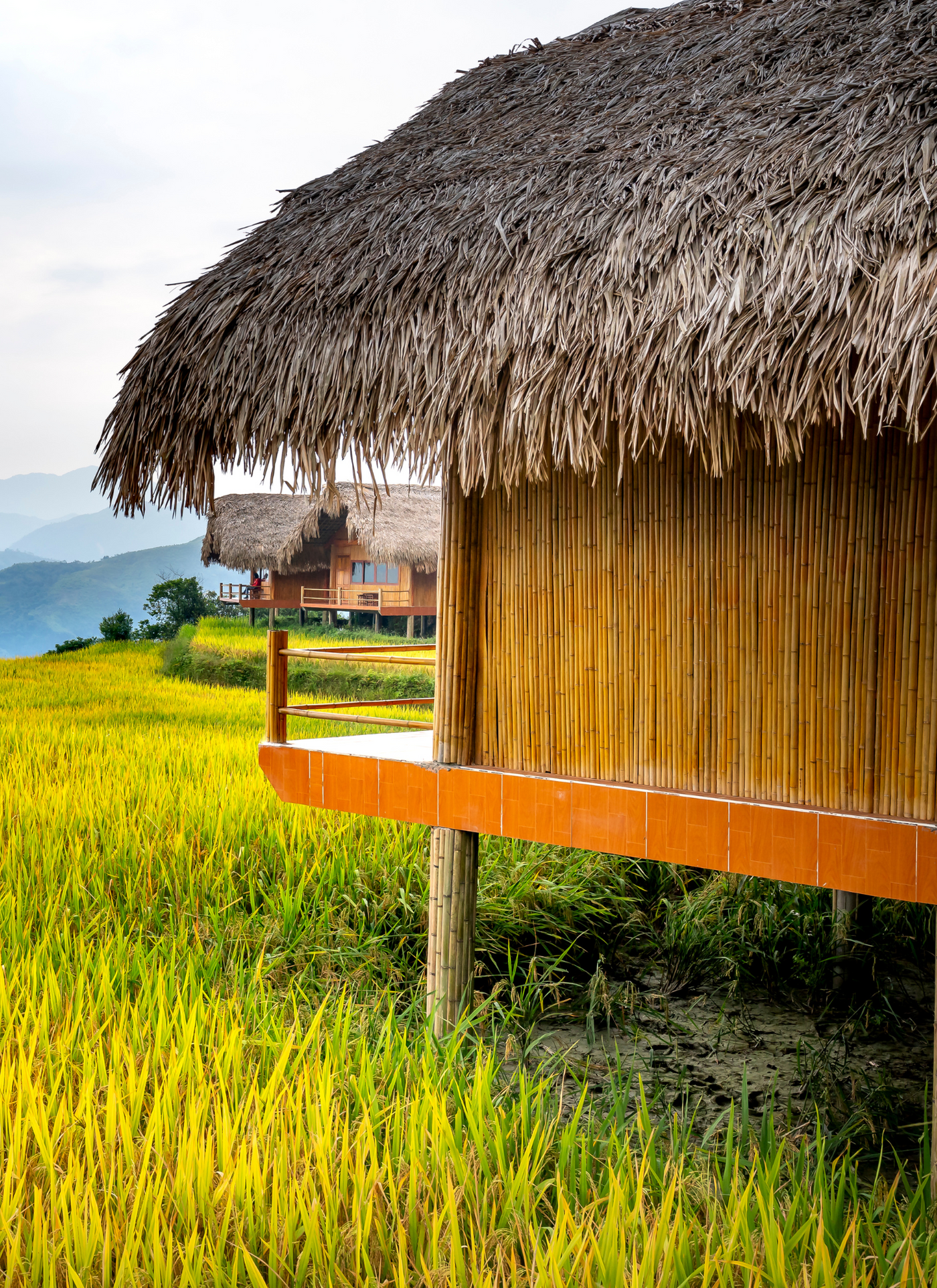 Bamboo Huts in the Golden Rice Fields – Paint by Numbers Kit