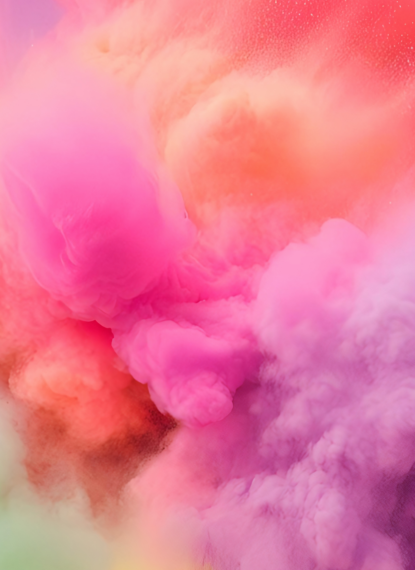 Vibrant Bloom  Paint by Numbers Kit