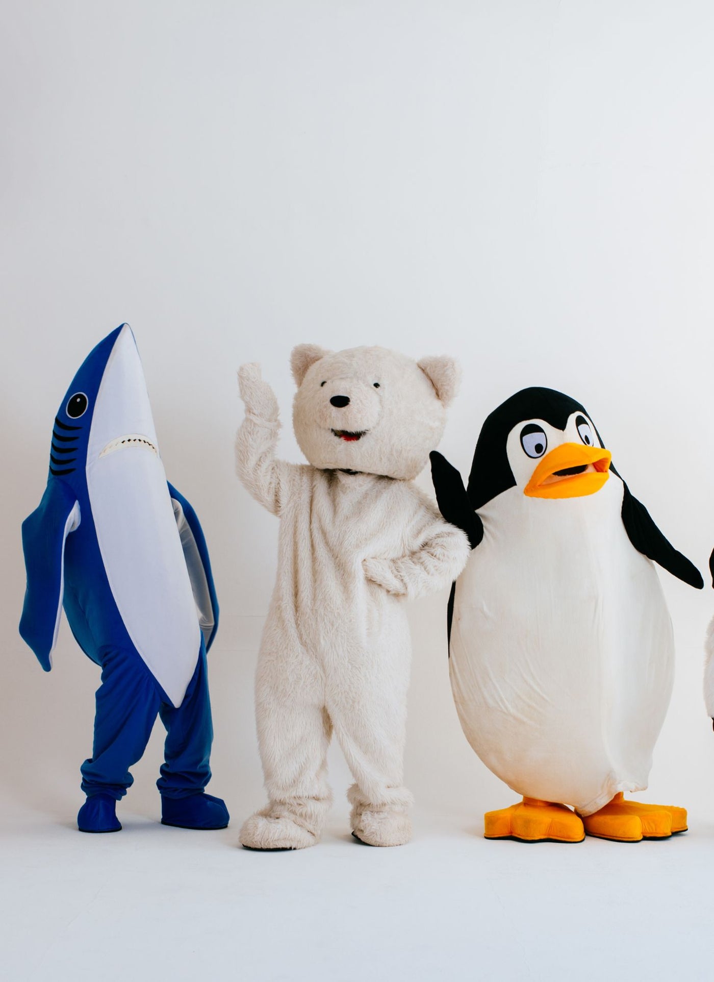 Animal Costume Parade - Paint by Numbers