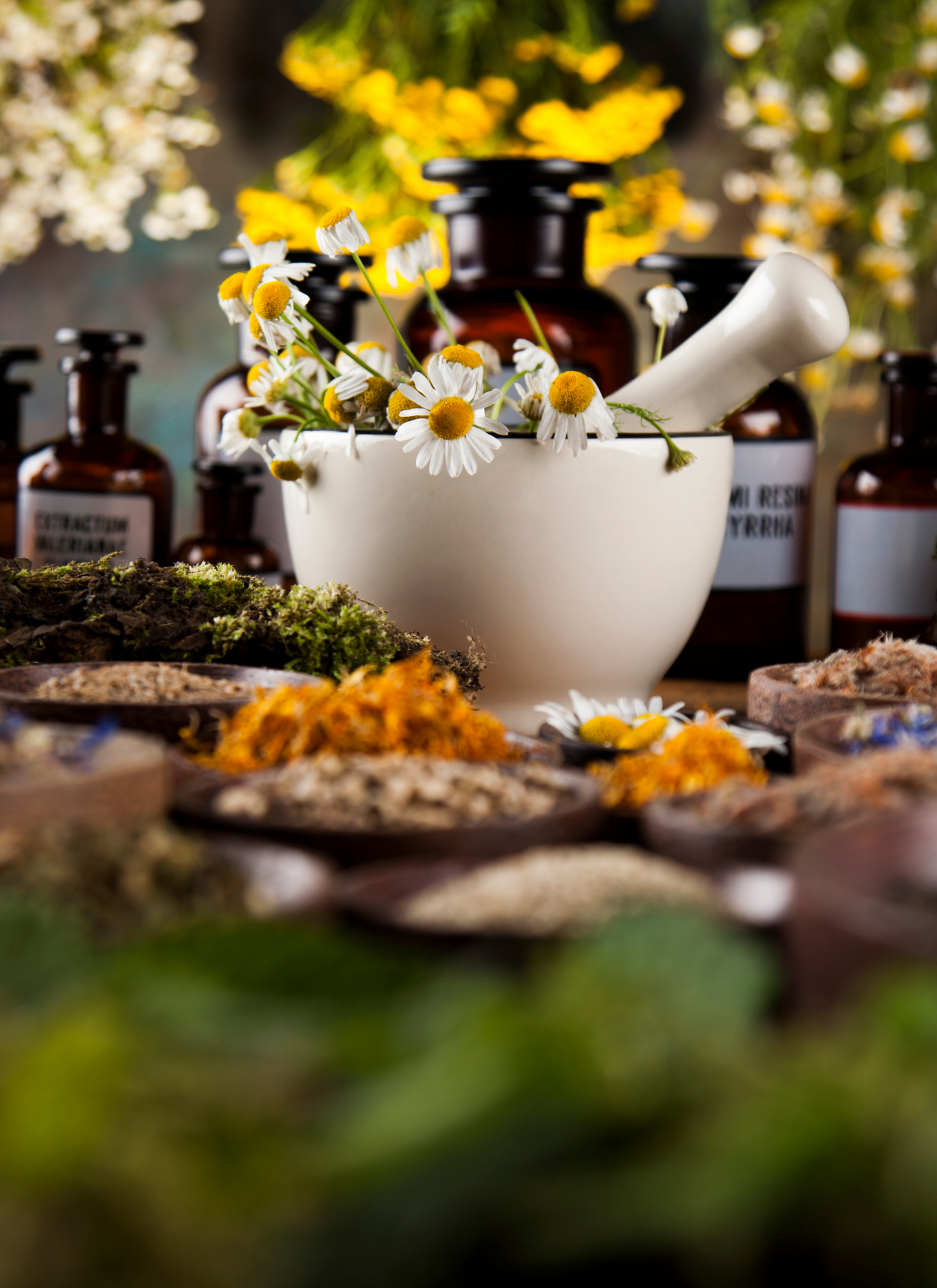 Herbal Harmony – Paint by Numbers Kit