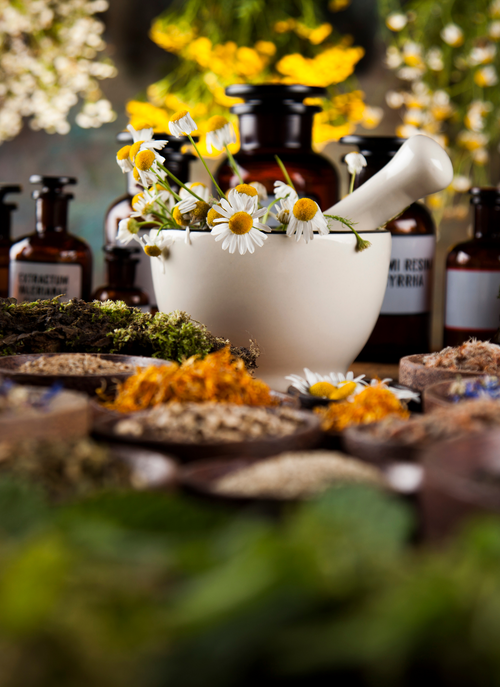 Herbal Harmony – Paint by Numbers Kit