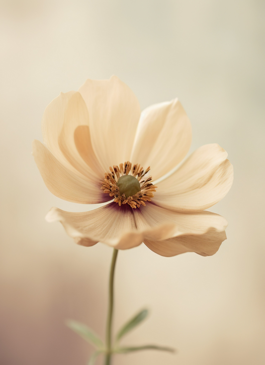 Golden Grace – Gentle Bloom Paint Kit