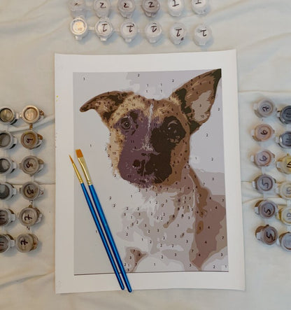 Paint By Numbers Kit